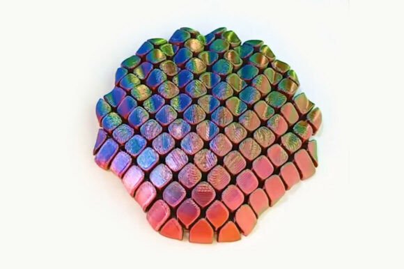 Flexi Seashell – Articulated 3D Print